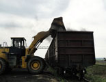 Coal Export (June 2011)